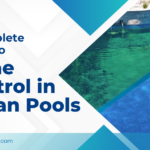 swimming pool construction