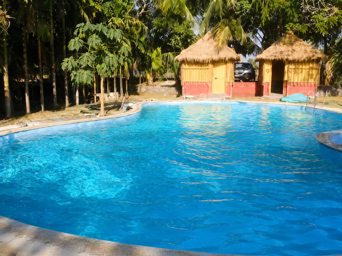 Swimming Pool Consultants