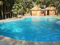 Swimming Pool Consultants