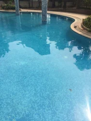 Swimming Pool Designing Services