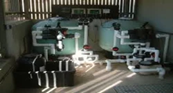 Swimming Pool Filtration Services