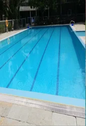 Olympic Size Swimming Pool